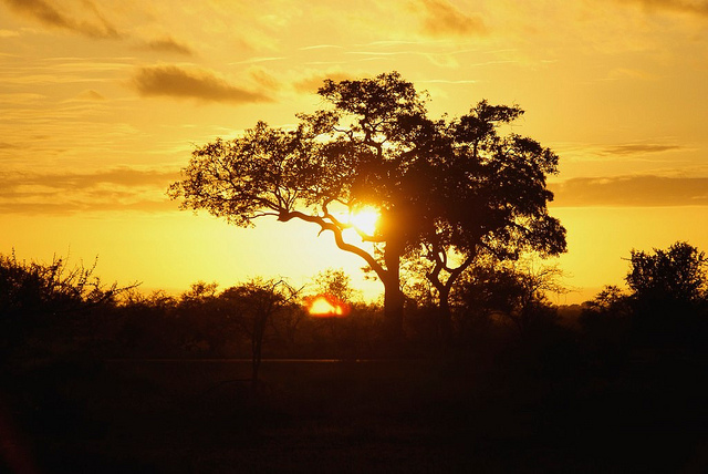 Sunset in Johannesburg