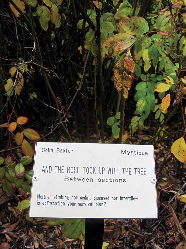 Scientific botanical signs at the UC Botanical Garden