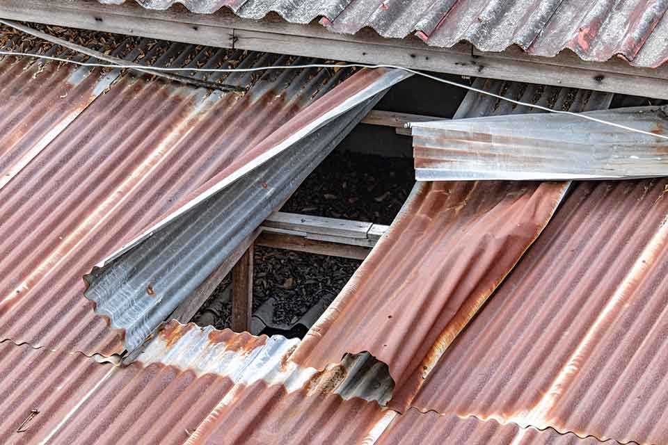 A photograph of a corrugated tin roof, partially peeled back