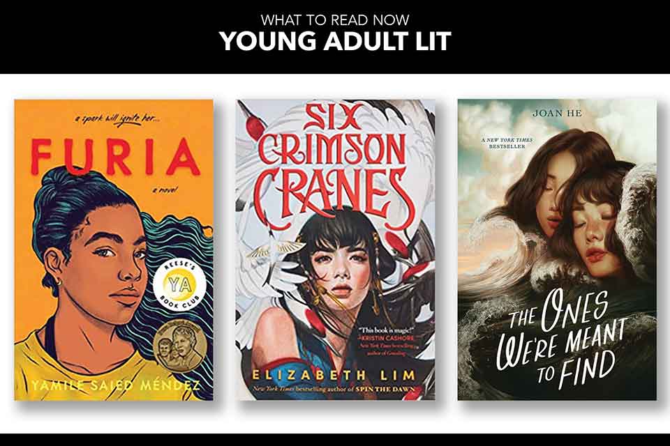 The covers to the three books discussed below with a header that reads, ‘Young Adult Lit’