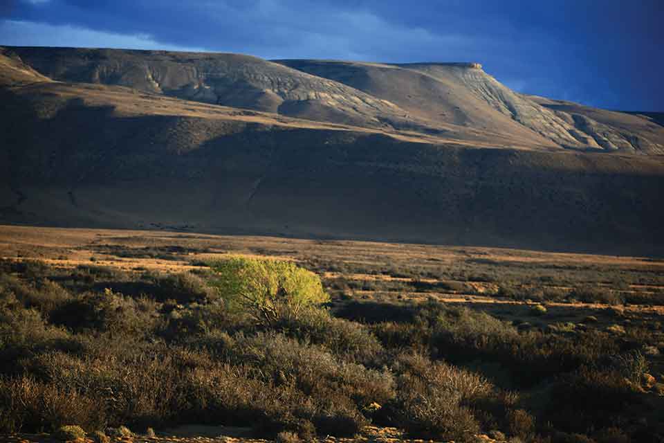 A photograph of a sparse, scrubby grassland at the foot of a mountain