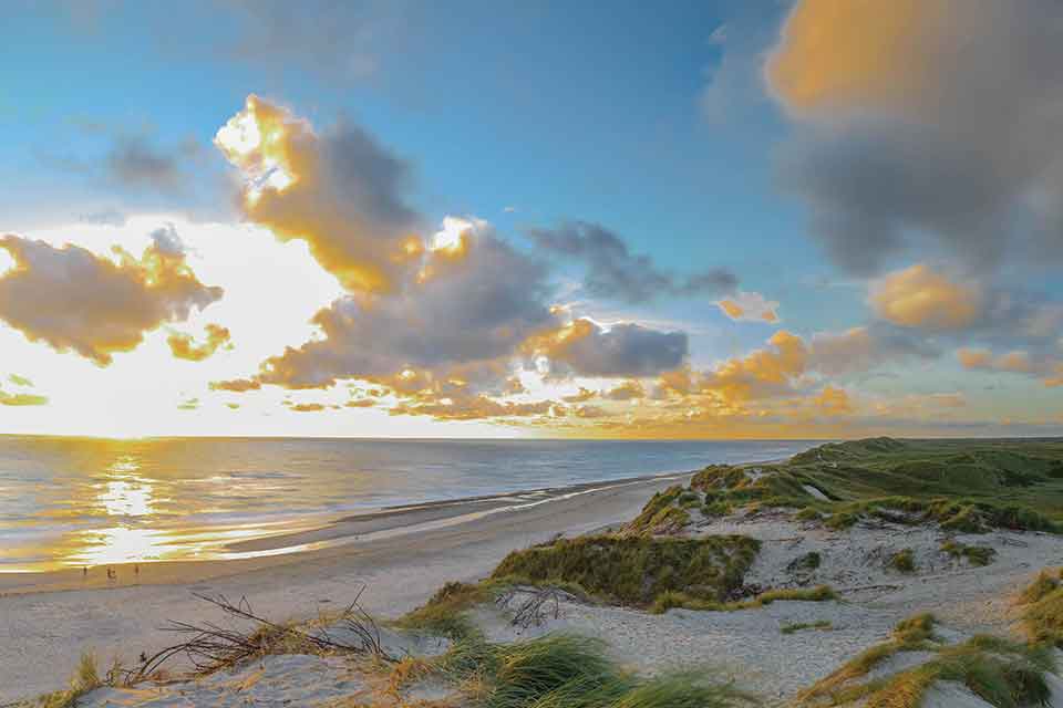 A photograph of a sandy beach and adjoining shoreline