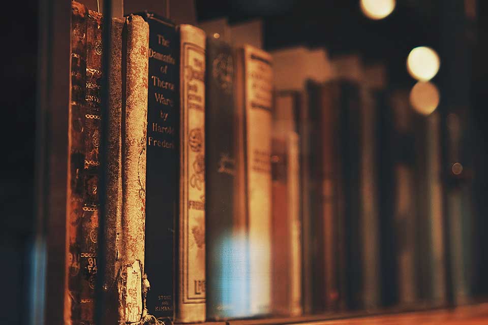 A photograph of a row of books