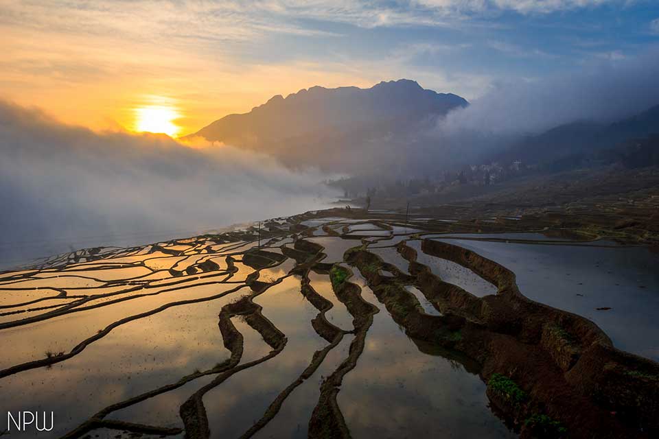 A photograph of a flooded rice terrace as the sun rises