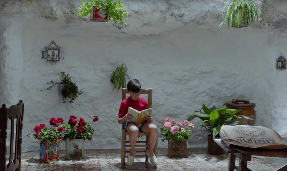 A boy sits in a chair reading in front of a wall