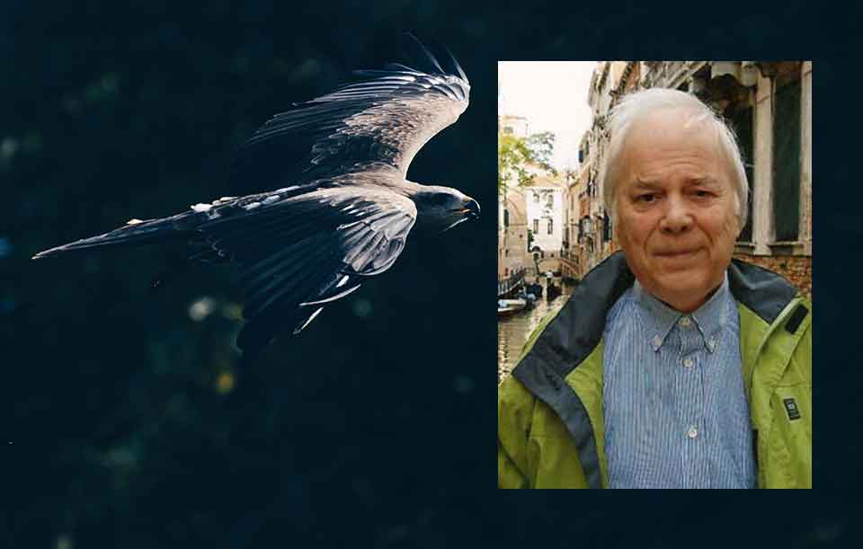 A photo of a falcon juxtaposed with a photo of Marc Alyn