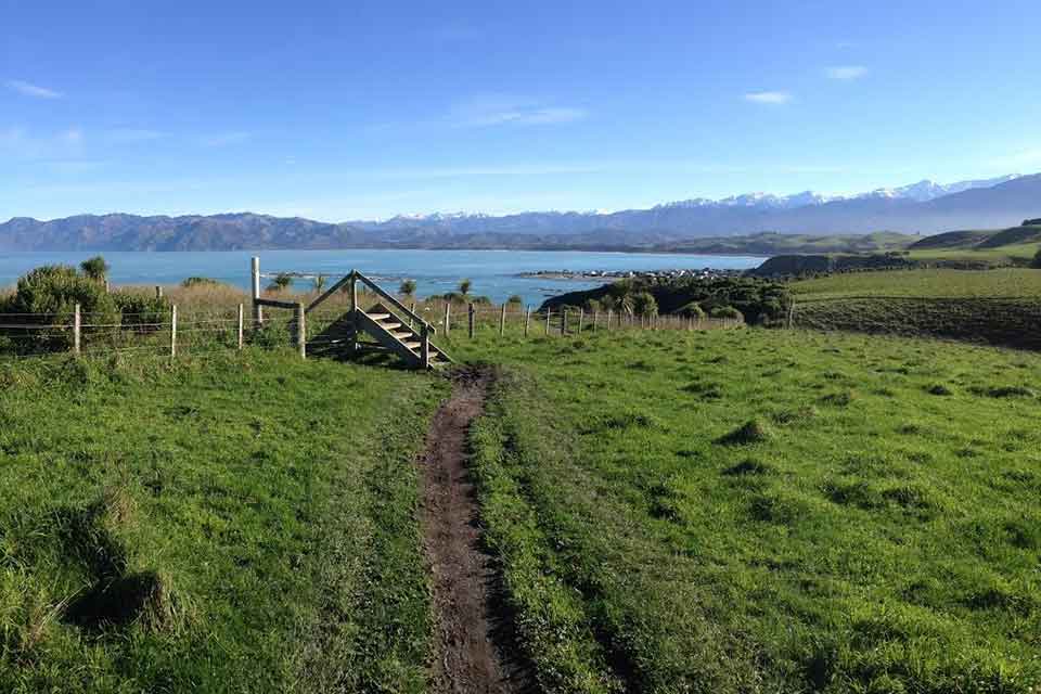 A foot path snakes away from the viewer toward a cliff and the ocean beyond