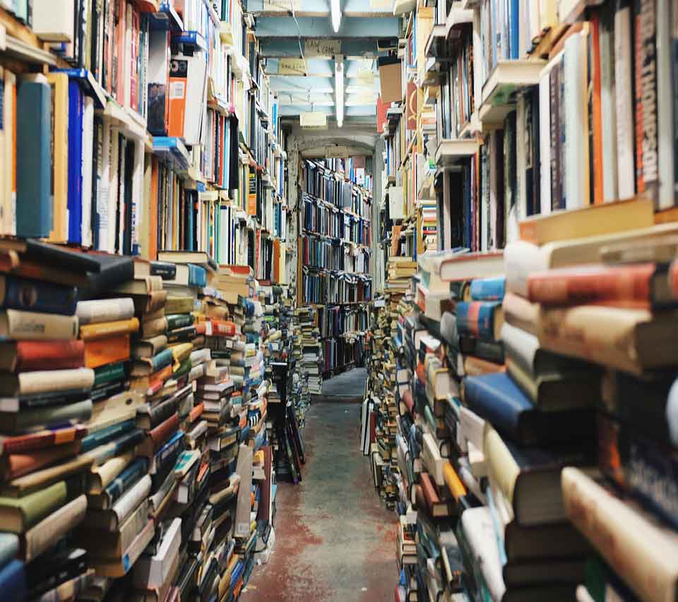 Looking down a narrow path with walls crammed with books looming in from both sides