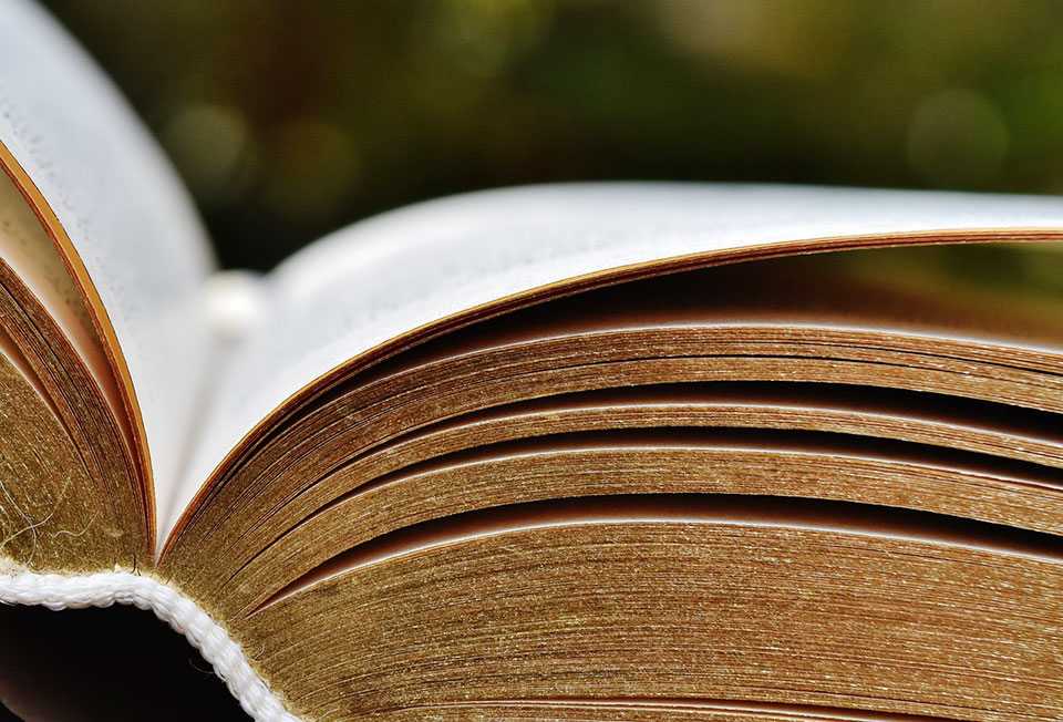 Open book with gold edges on the pages