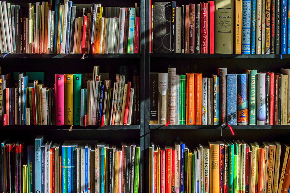 Colorful books on a bookshelf