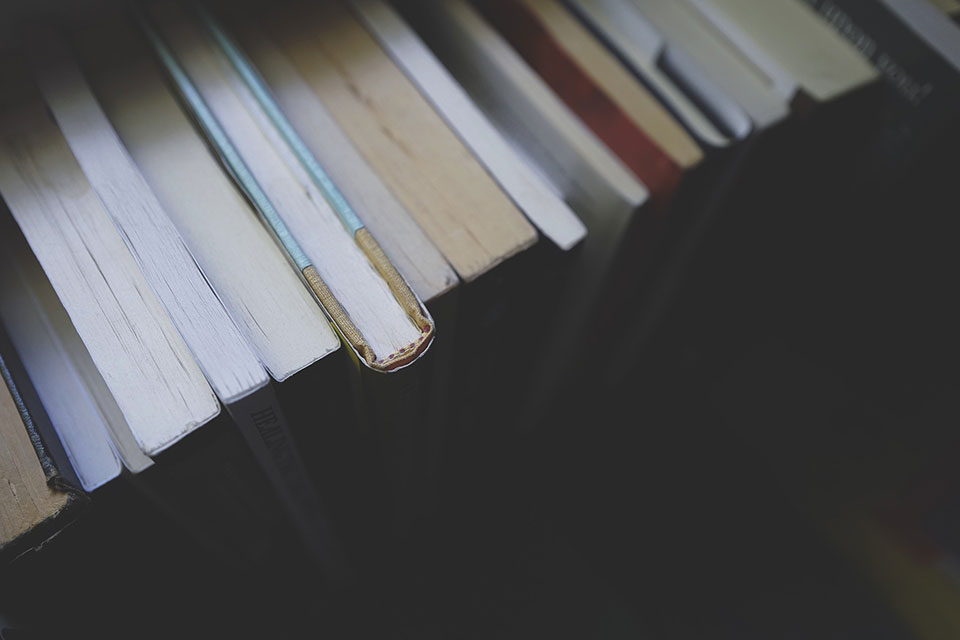 Above view of books on a shelf