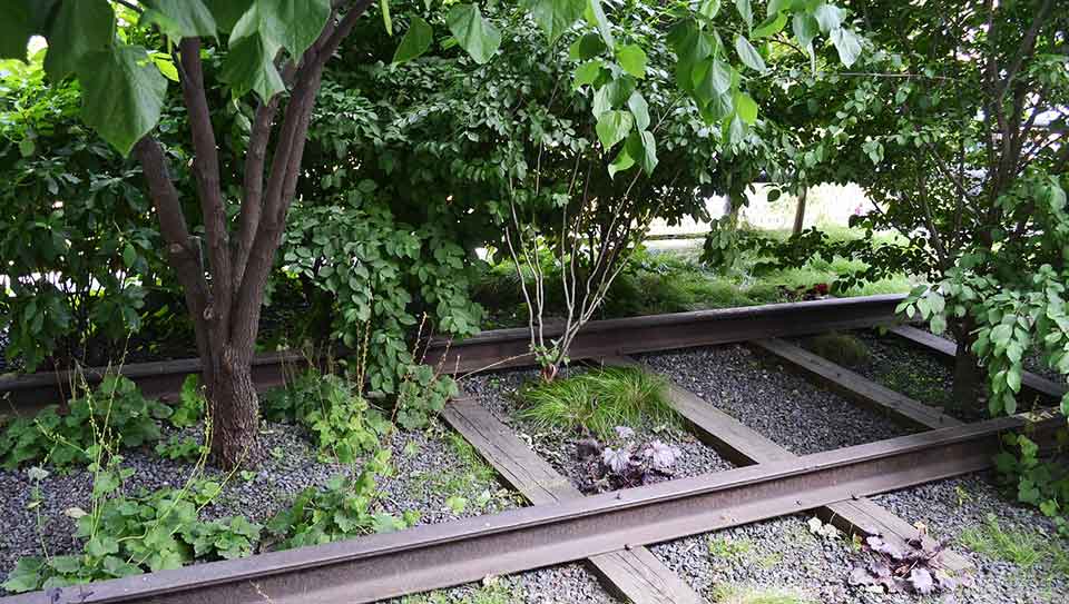 A garden grows up from within the rails of an abandoned train line