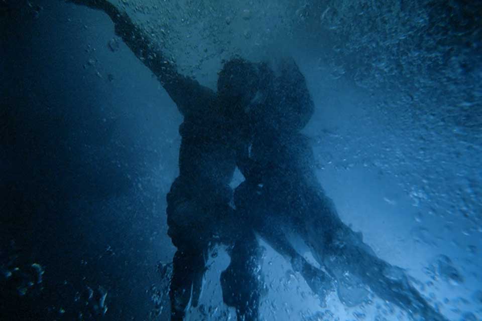 A photograph of two bodies swimming in dark blue water