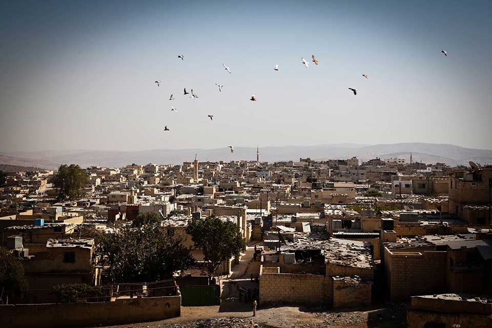 Birds circle in the sky above a city with many stone walls and buildings visible below