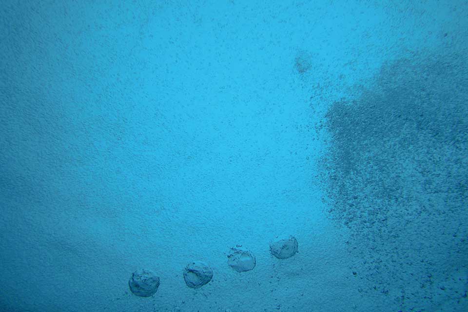 Bubbles darken the ocean as they rise to the surface