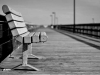 Bench by a bay. Photo by Julie Skarwecki/Flickr