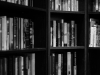 Bookself in black and white