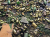 A closeup photograph of the sand on Dead Horse Bay, which is riddled with empty and broken bottles