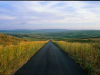 A photograph of a paved highway running down the center to the horizon between planted fields