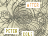 The cover to Draw Me After by Peter Cole