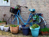 A photograph of a blue bicycle leaning up against a brick wall