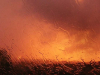 A photograph of an orange hued landscape as seen through a rain-swept window