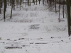 A forest with snow on the ground. Steps can just be seen through the snow