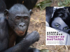 A photograph of bonobo with the cover to Audrey Schulman's A Theory of Bastards inset