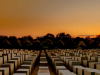 Numerous uniformly cube shaped objects serving as memorials in a field bathed in the colors of sunset