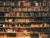 A photograph of a wall mounted bookshelf filled from top to bottom with books