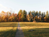 A path in Camp Thorpe, Goshen, Vermont 