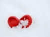 Frozen heart