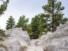 Oregon Trail Ruts State Historic Site. A photograph looking up a stone trail that crests in a ledge covered in evergreen trees.