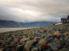 A photo of Svlabard, Noway where a rocky beach in the foregound yields to a bay and foreboding sky in the background