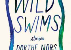 The cover to Wild Swims: Stories by Dorthe Nors