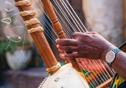 A close-up photograph of Sona Jobarteh's hands playing a kora.