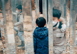 An image of two boys in a forest. Mirrors are placed so that one of the boys appears to be in several places at once.