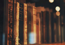 A photograph of a row of books