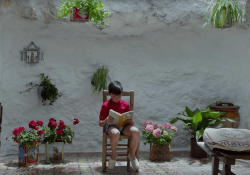 A boy sits in a chair reading in front of a wall