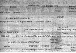 The text reads: Litekyan, proclamation, with typhoon wind, a precedent set by the white man’s purchase, from alcatraces, pelicans, prutehi, freedom within constraints, Litekyan, twenty-four dollars ($24) in glass beads, Fakmåta Guåhan! Barsandbullets, we protest life-fire training range complex, prutehi, prutehi, gone the hurricane of further desecrations, Litekyan, we offer this treaty in good faith, this tiny island would be a symbol of the great lands once ruled by free and noble Indians, fledglings swal