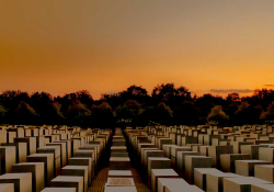 Numerous uniformly cube shaped objects serving as memorials in a field bathed in the colors of sunset