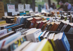 Books arranged in rows at a bookstore