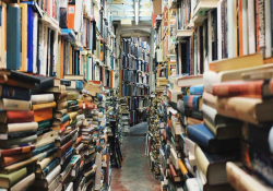 Looking down a narrow path with walls crammed with books looming in from both sides