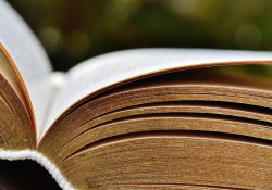 Open book with gold edges on the pages