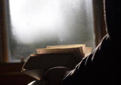 Man reading a book by a window