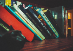 Books leaning on a shelf