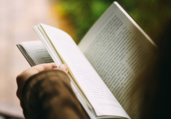 A girl reading a book and wearing a sweater.