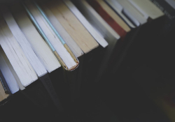 Above view of books on a shelf