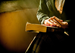 A close-up shot of a book resting in an unknown person's lap with light streaming in from the left