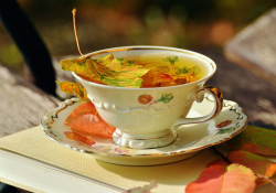 Book with a cup tea and fall leaves